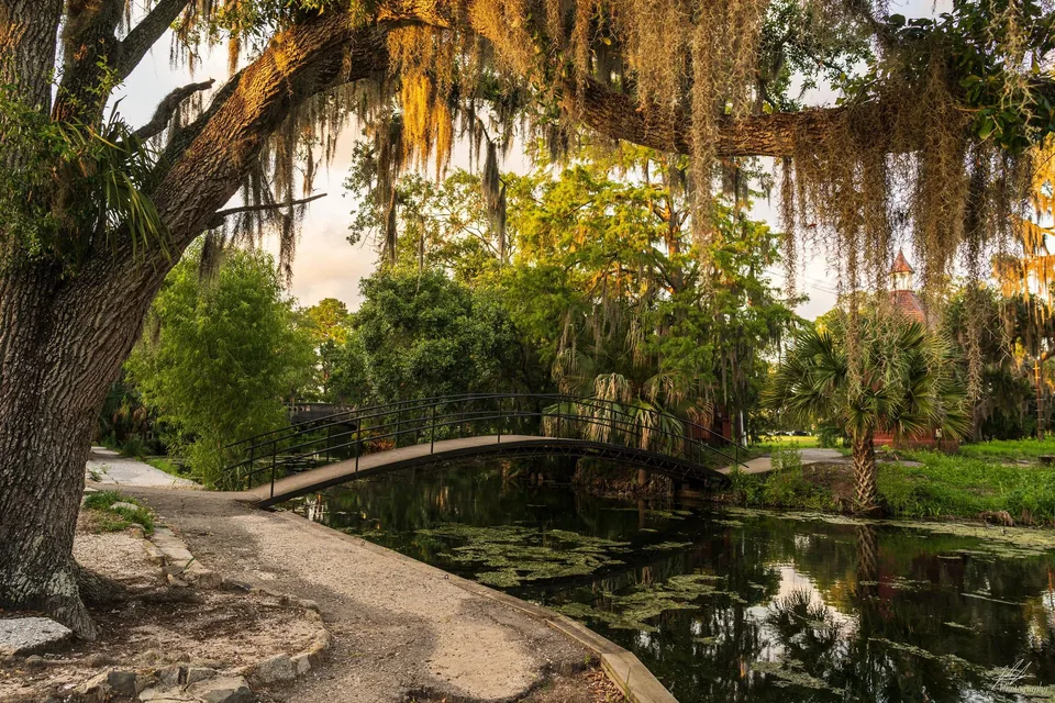 Arched footbridge over a pond beneath moss-draped oaks