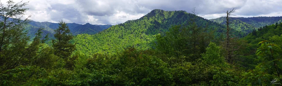 Panorama of forested mountain ridges
