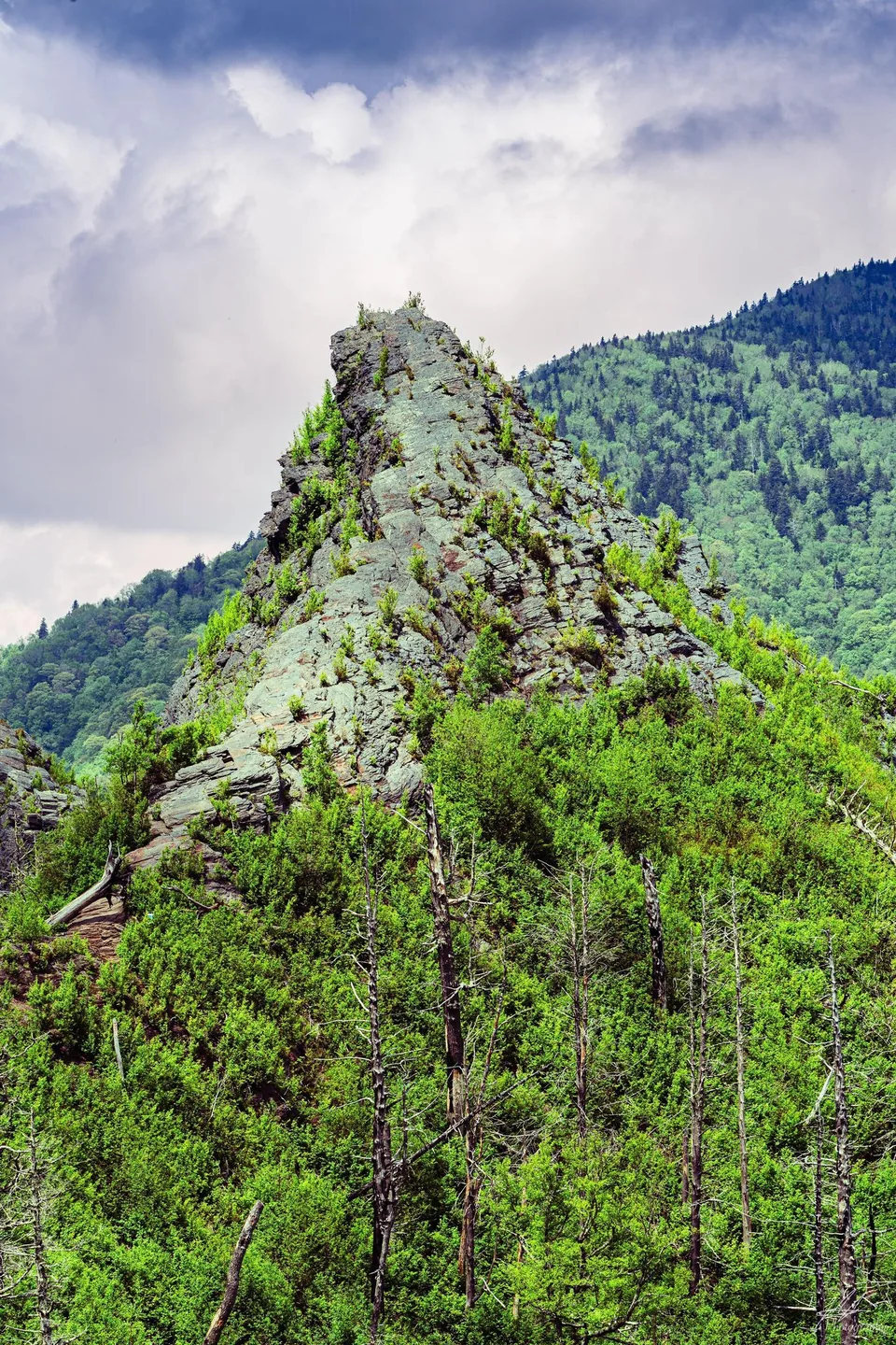 Rocky pinnacle rising from green forest