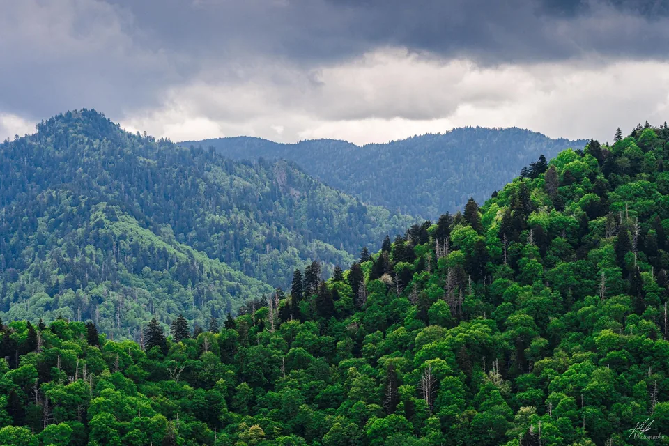 Forested mountainside under a cloudy sky