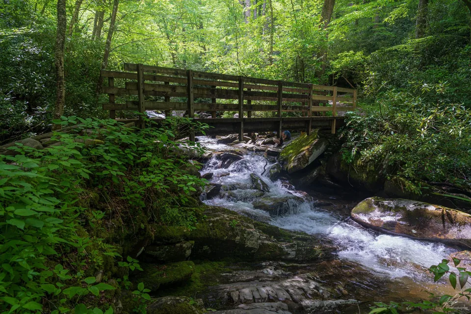 Footbridge over a rushing mountain stream