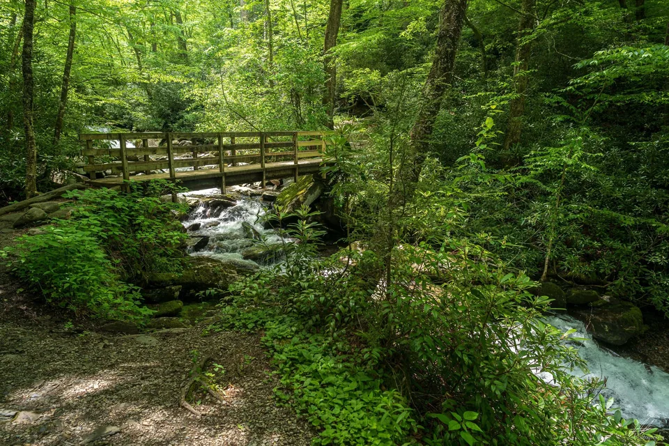 Mountain stream beneath a wooden bridge
