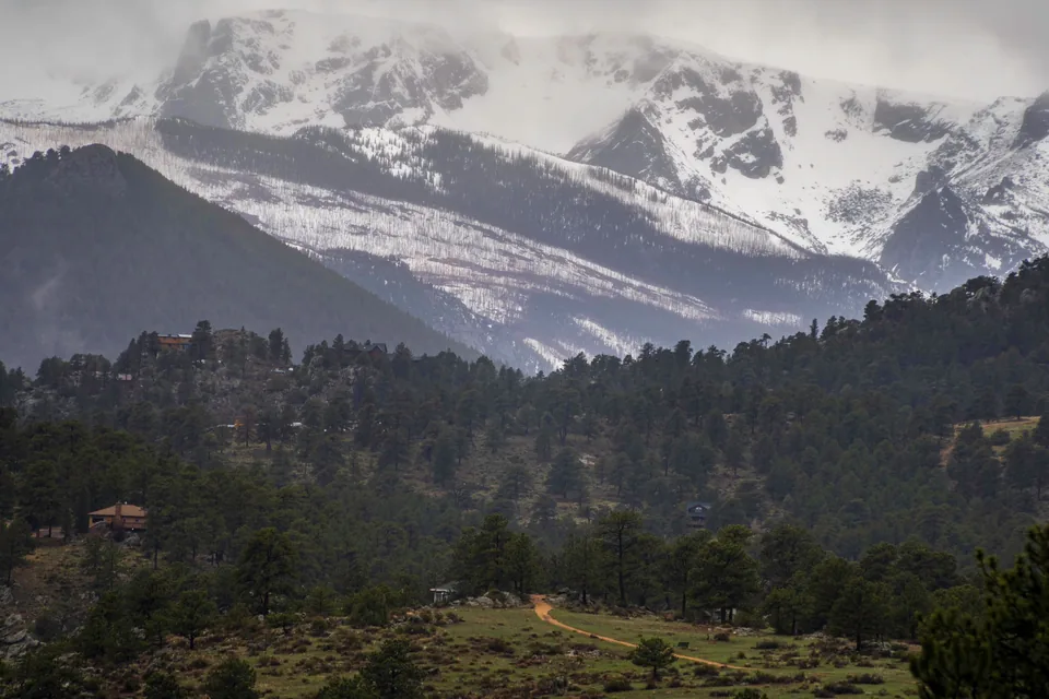 Snowy peaks above a pine forest