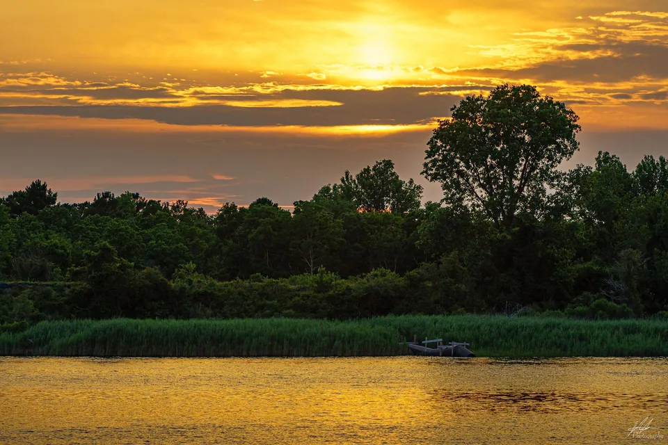 Golden sunset reflected in a tree-lined river
