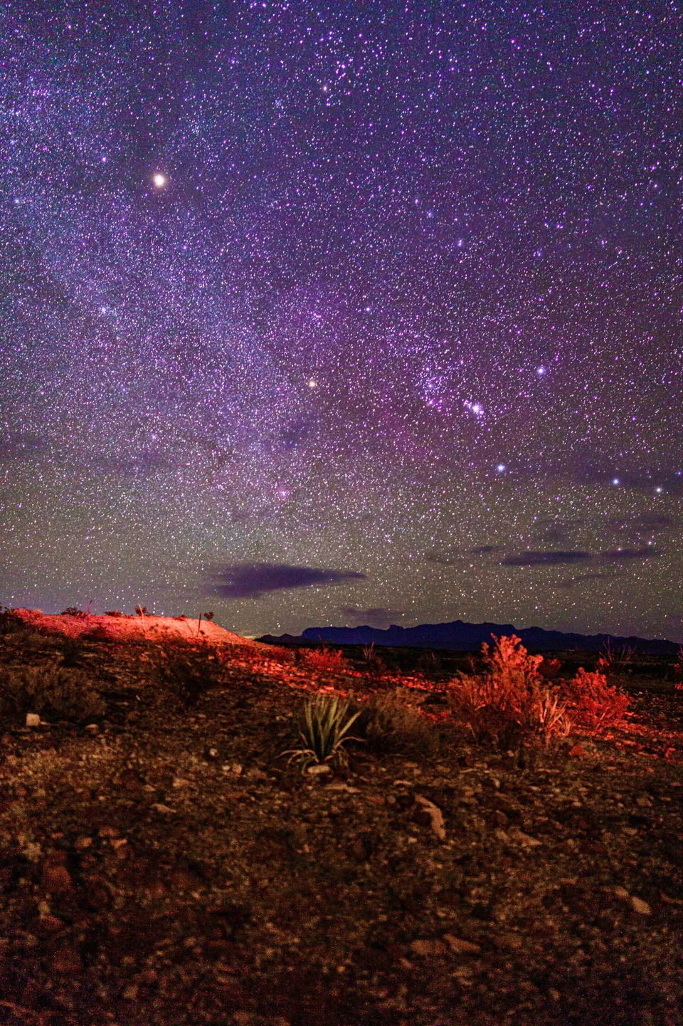 Purple starry sky over red desert scrub