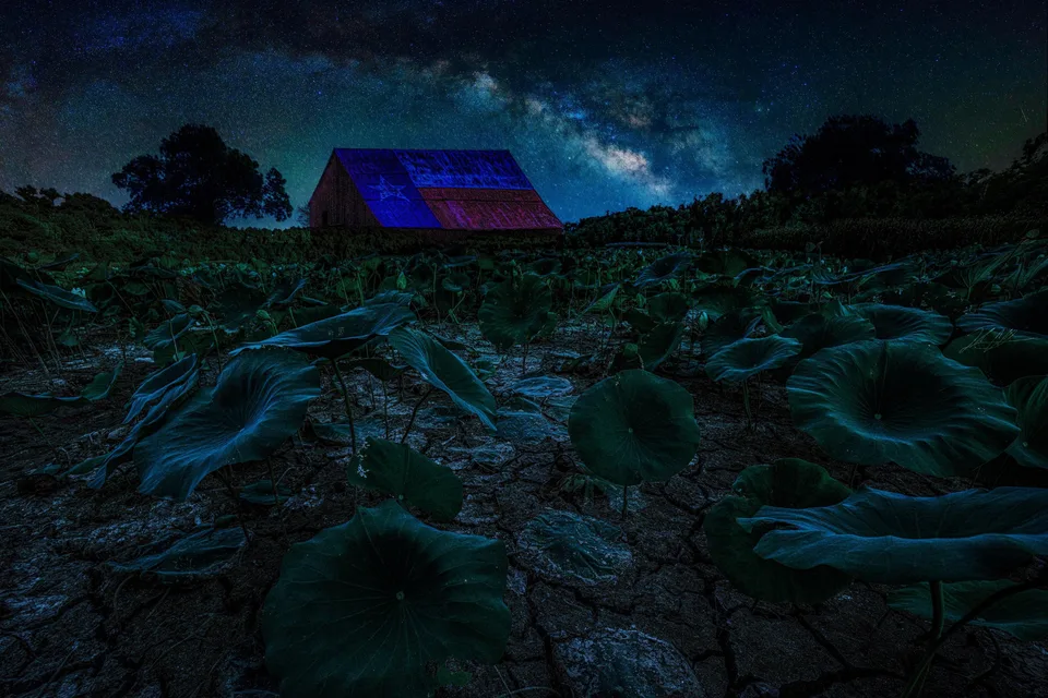 Texas-flag barn under the Milky Way, plants in the foreground